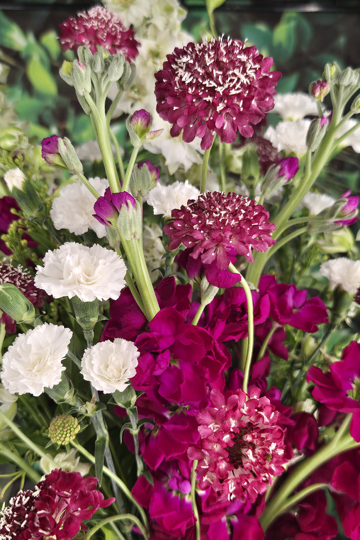 Flower Blossom Design_ Gift Boutique East Greenbush NY (4)